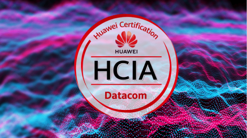 HCIA (1) (1)